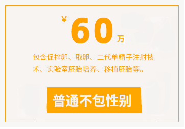 普通试管代怀服务协议
