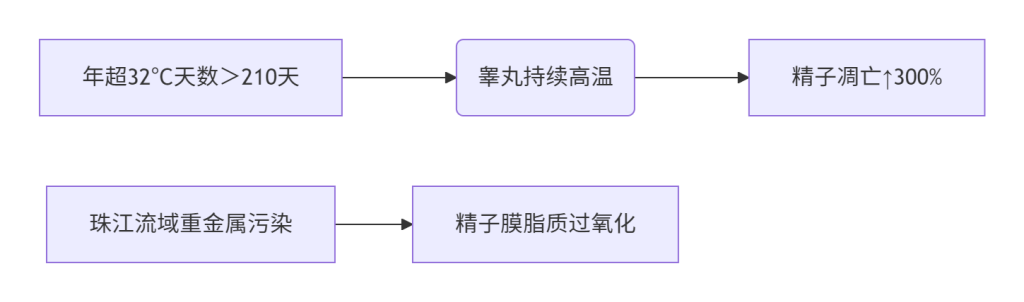​​2025广东准爸必读｜热损伤精子破解白皮书​​-2025男性备孕指南